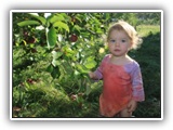 appleJ