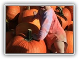 pumpkinJ